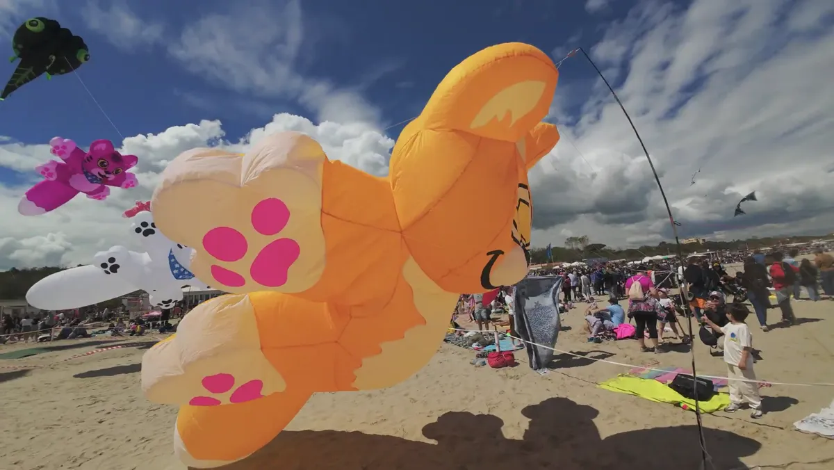 Dos cometas de gatos naranjas descansando en la playa del festival